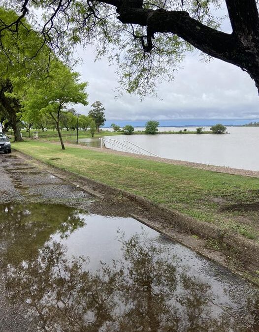 100 mm DEJÓ LA INTENSA LLUVIA DE LA NOCHE EN FEDERACIÓN