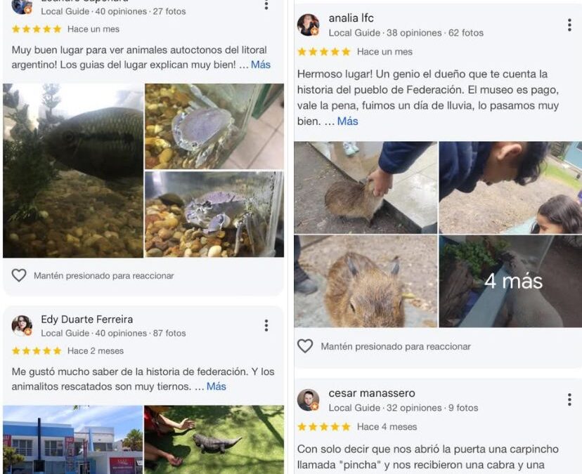 EL MAF CUMPLE 22 AÑOS CON FUERTE RESPALDO DE LOS VISITANTES