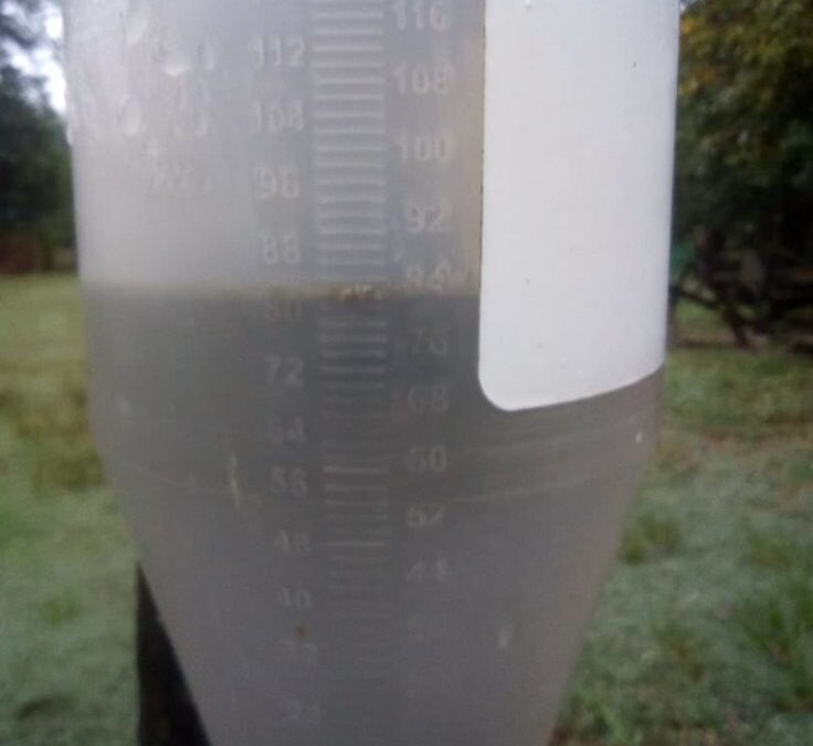 83 mm fue la lluvia caída en Federación