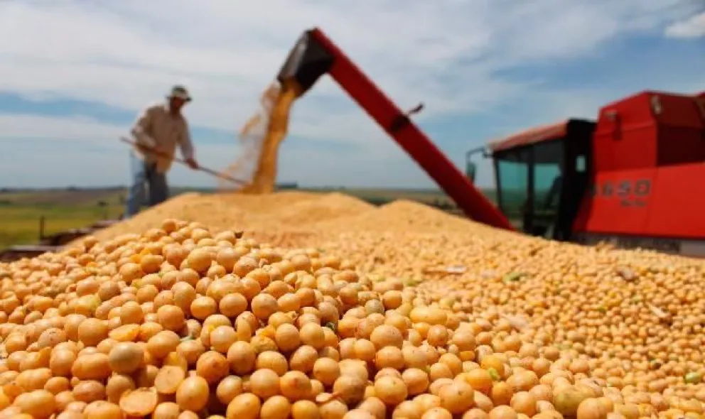 La producción de soja sería la tercera más alta en la historia entrerriana