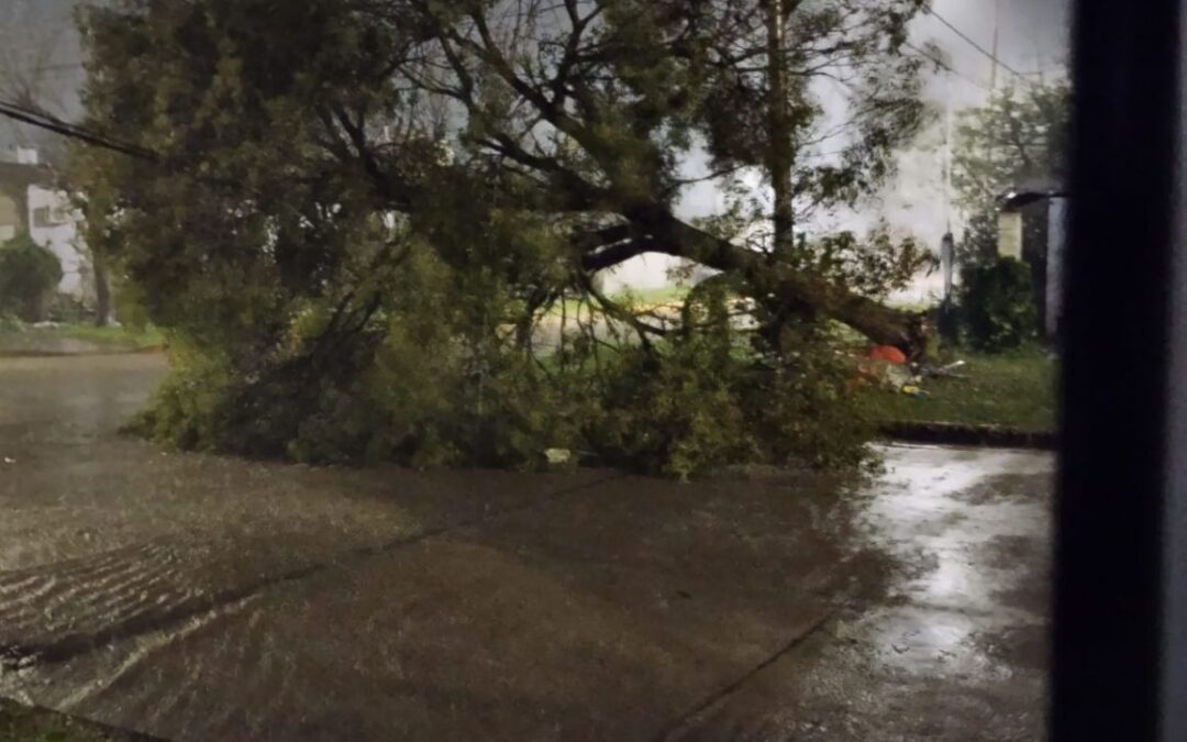 La tormenta se hizo sentir en Chajarí y la zona con viento fuerte y granizo