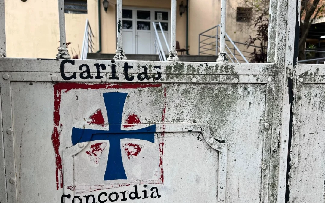 Atentos radicales con pelucas…