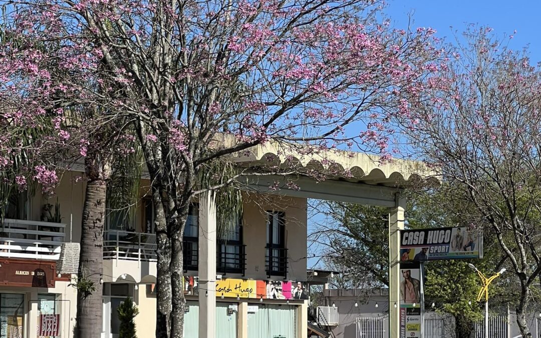 El tiempo para este miércoles primaveral en Federación y la región