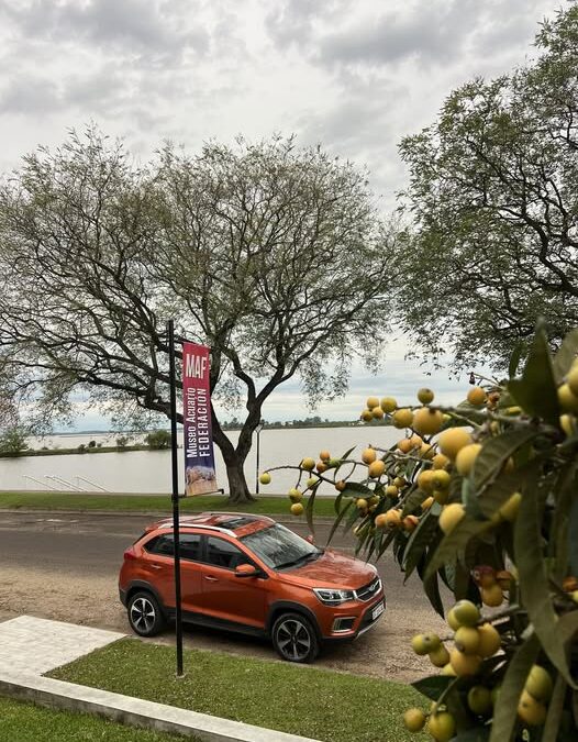 Pronostican nubosidad variable y temperaturas moderadas en la región: los detalles