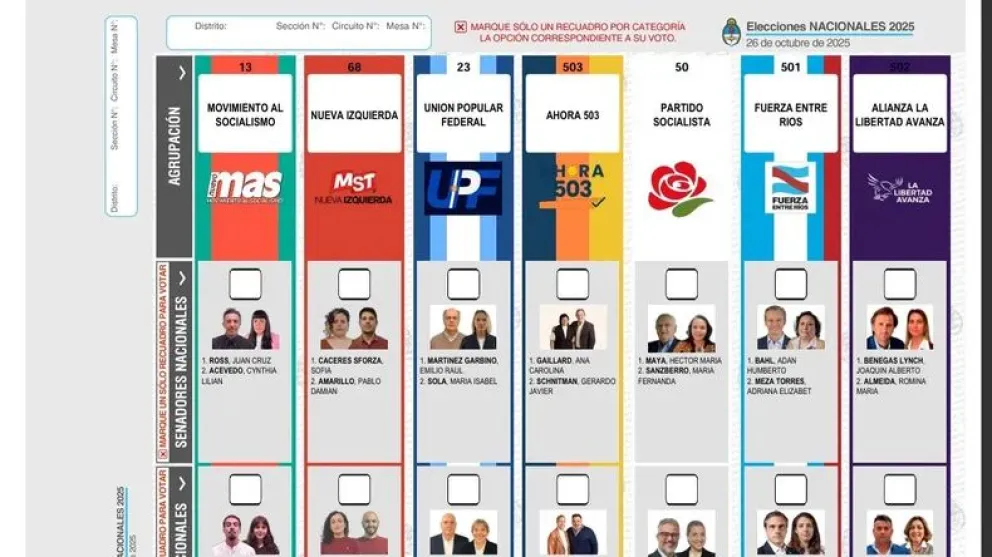 Lanzaron un simulador para practicar con la Boleta Única Papel