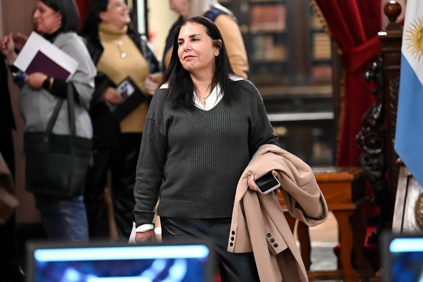 PIDEN A LA CÁMARA DE DIPUTADOS SUSPENDA A LA DIPUTADA DE LA UCR, GABRIELA LENA