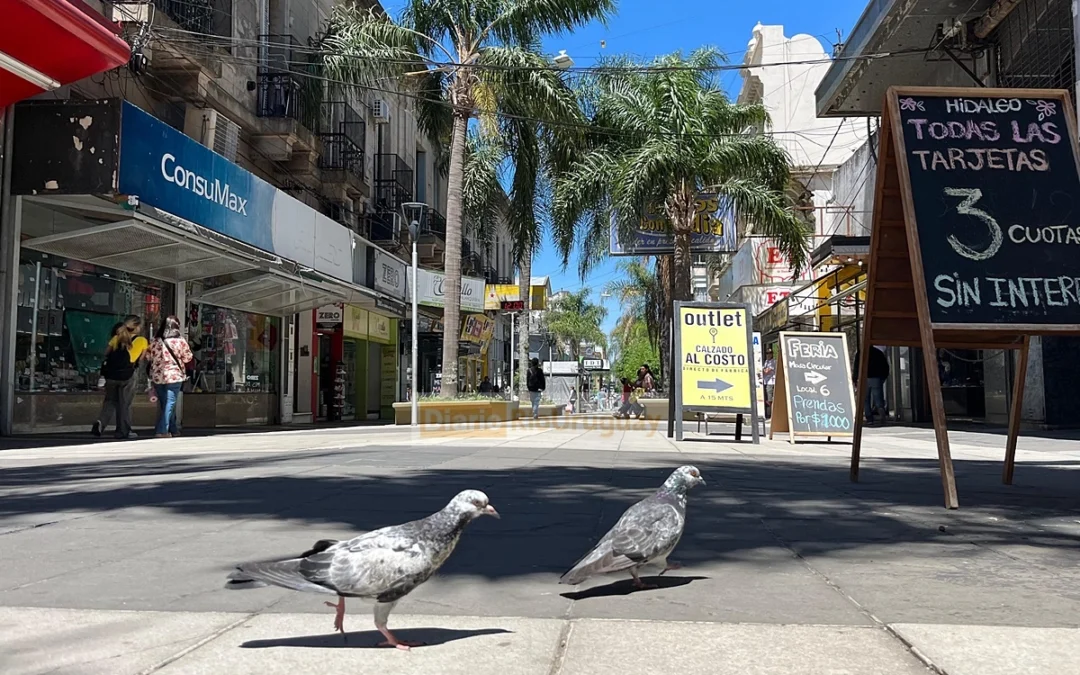 EFECTO PELUCA… El sector comercial concordiense continúa con despidos y “las ventas por el piso”