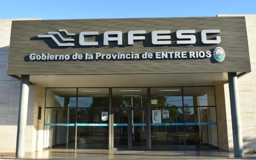 CAFESG PONE EN CONOCIMIENTO QUE LA INFORMACIÓN DE SUS LICITACIONES SON PÚBLICAS