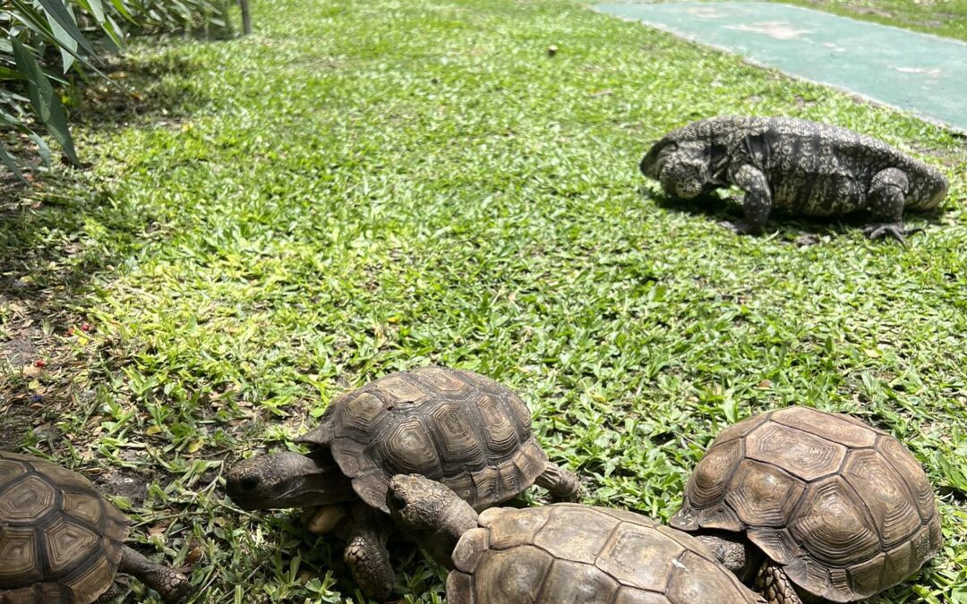 Entre Ríos registró un 95 por ciento de ocupación hotelera durante el fin de semana largo