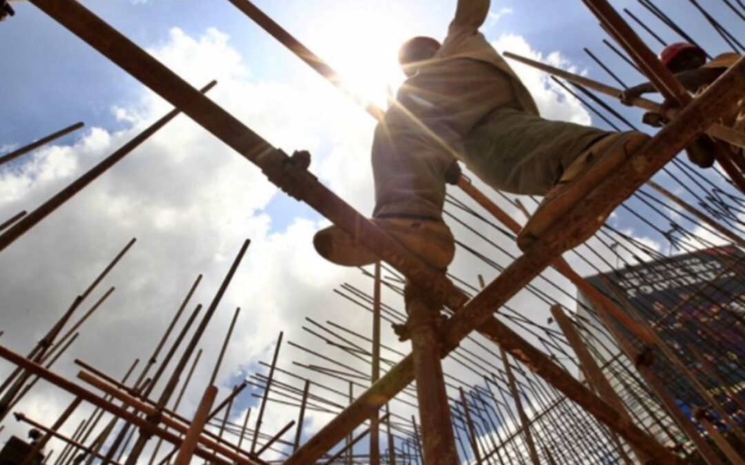 A dónde nos lleva peluca…