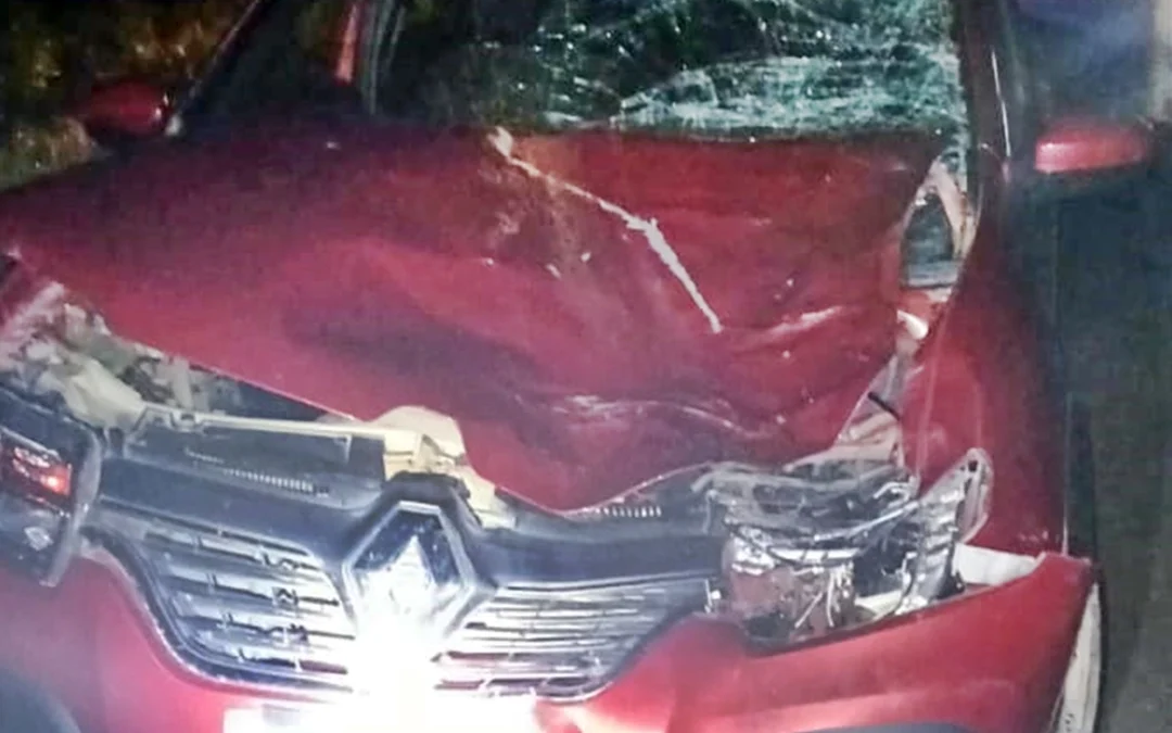 Dos vehículos chocaron con un equino que estaba sobre la Ruta 14 al sur de Concordia