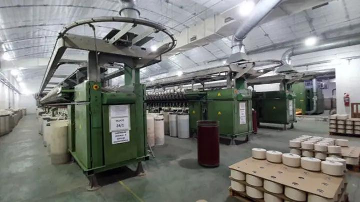 PELUCA DESTRUCTOR…