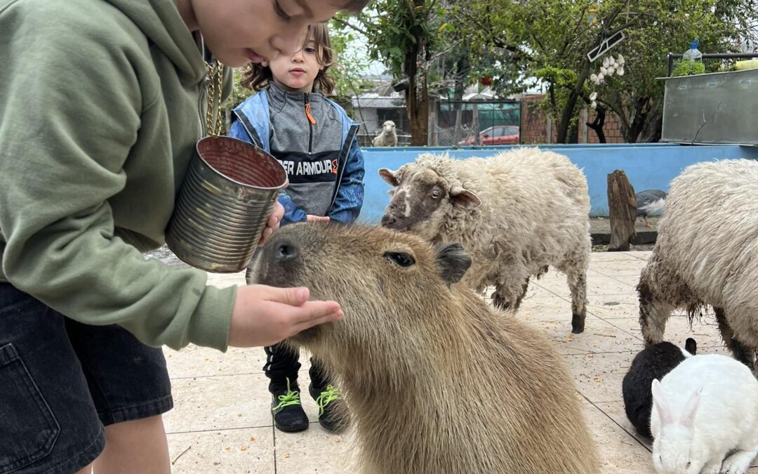 ATRACCIONES TURÍSTICAS DE FEDERACIÓN