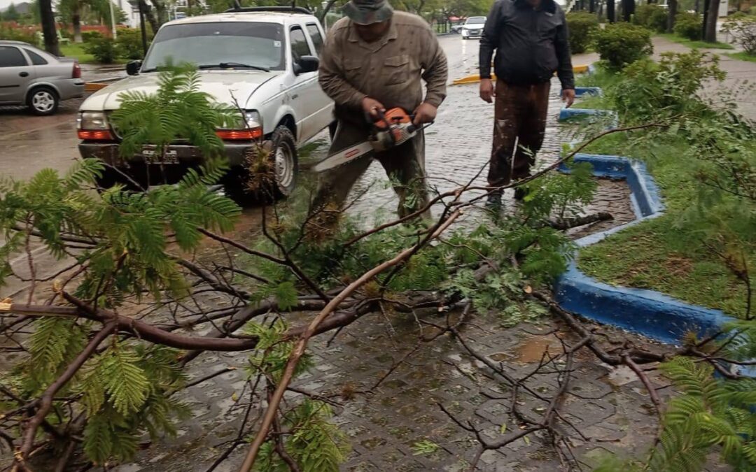 MUNICIPALES:  REMOCIÓN DE RAMAS Y ASISTENCIA A FAMILIAS