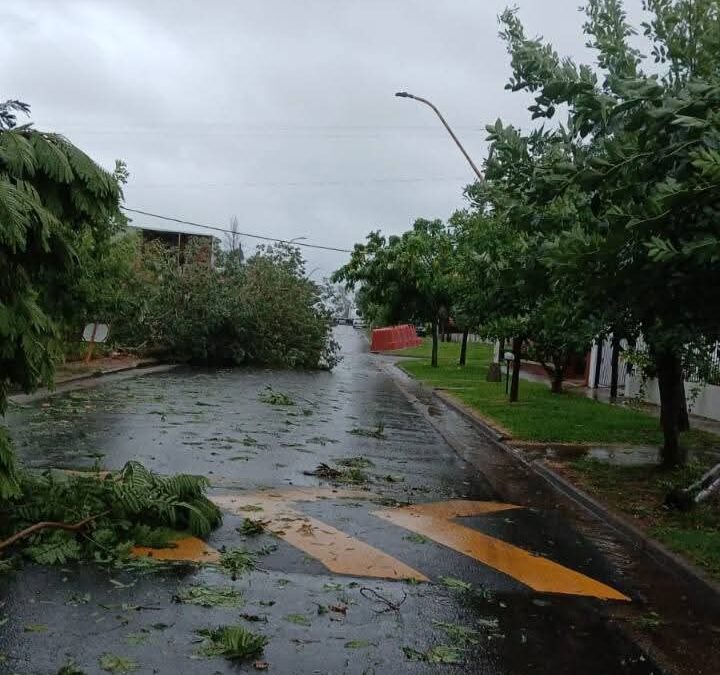 “Uno vez más nos toca levantarnos” dijo Kaneman tras la tormenta en Santa Ana