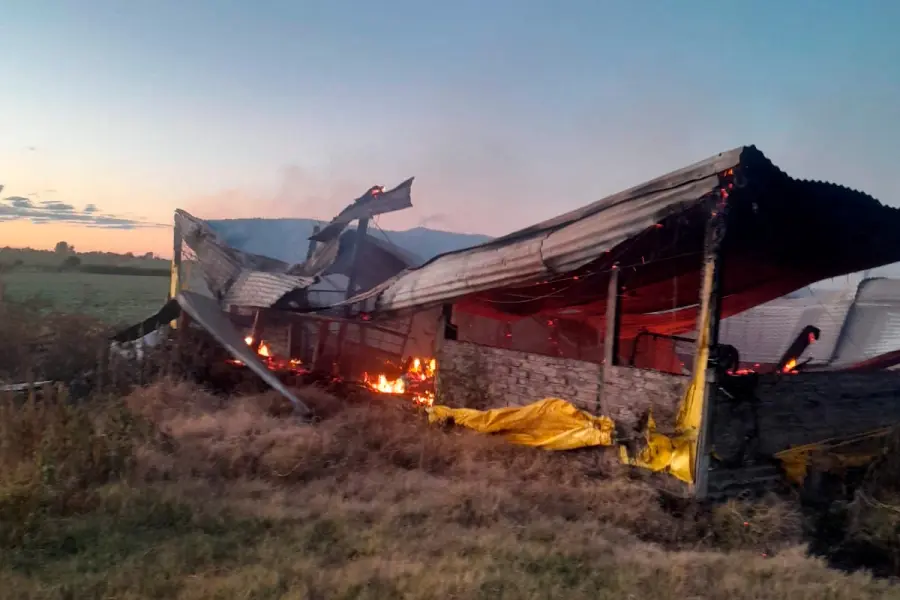Villaguay; Se incendió galpón con 500 cerdos: las pérdidas rondan los $300.000.000