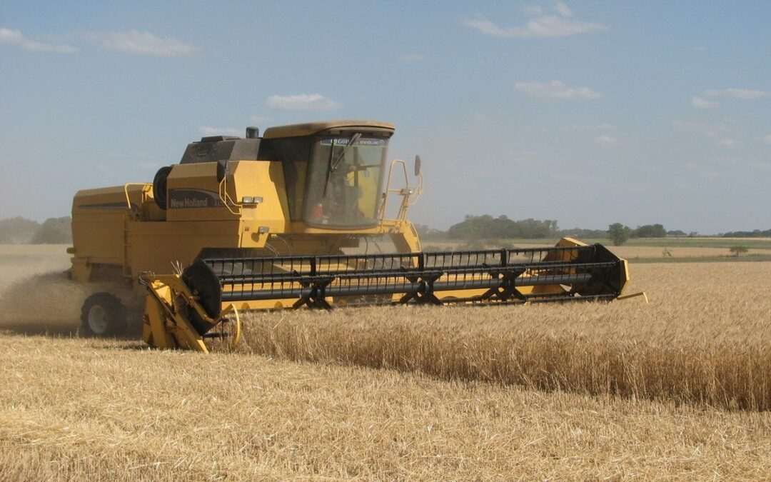 Las exportaciones entrerrianas crecieron 47% en 2025 con China y Brasil como principales compradores