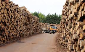 TELÉFONO PARA BENÍTEZ, DRI, PASARELLA…