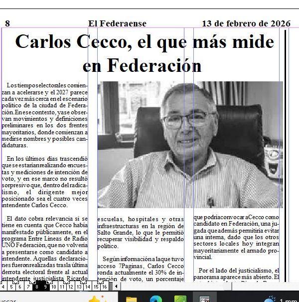 LA POSIBLE CANDIDATURA DE CARLOS CECCO DISPARÓ LAS REDES