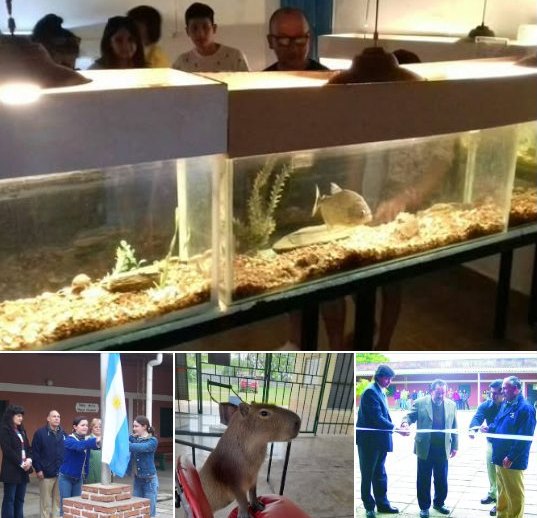 EL MAF CUMPLE 23 AÑOS