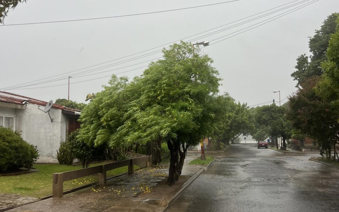 VIENTO Y LLUVIA EN EL COMIENZO DEL OTOÑO EN FEDERACIÓN