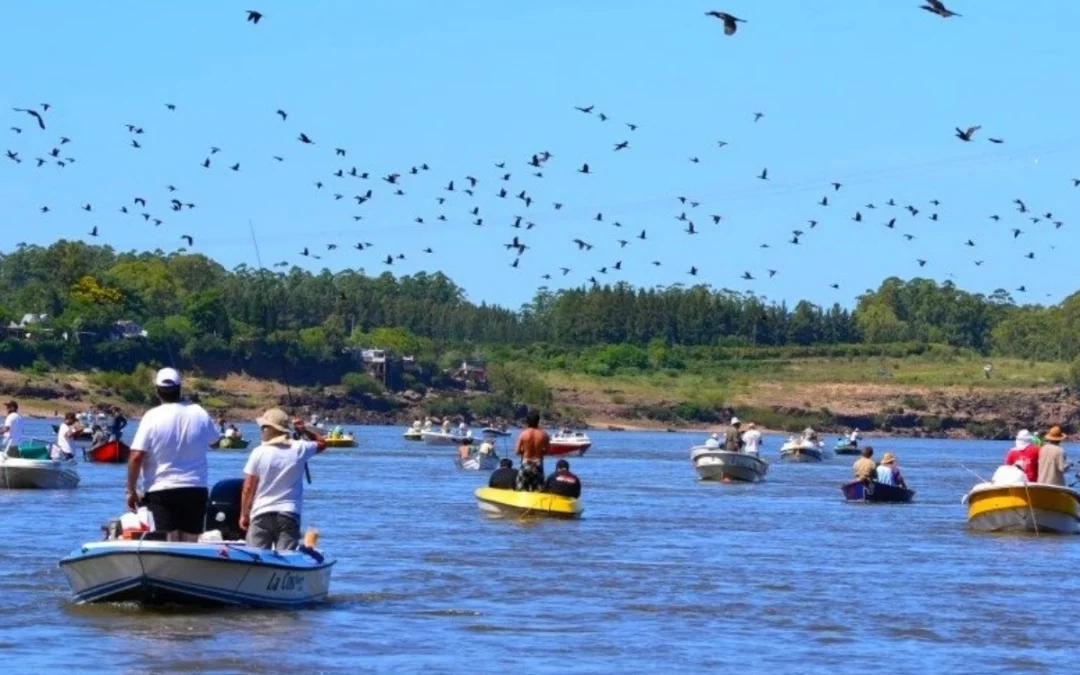 CONCORDIA: Todo listo para una nueva edición de la Fiesta Nacional Pesca de la Boga