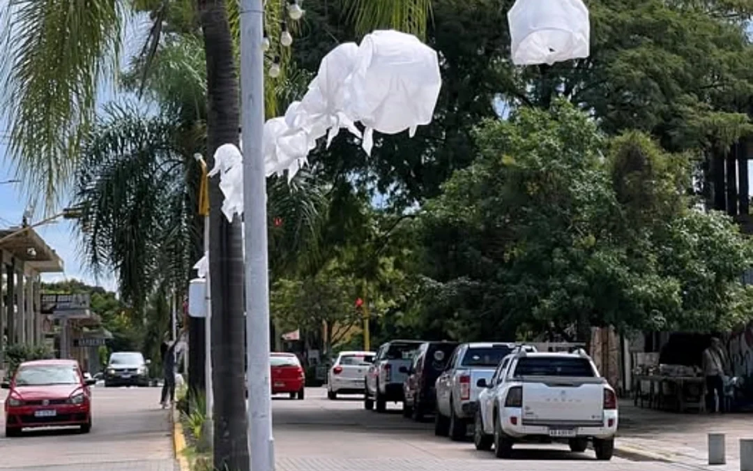 50 AÑOS DEL GOLPE: En Federación se colocaron pañuelos blancos en la principal avenida