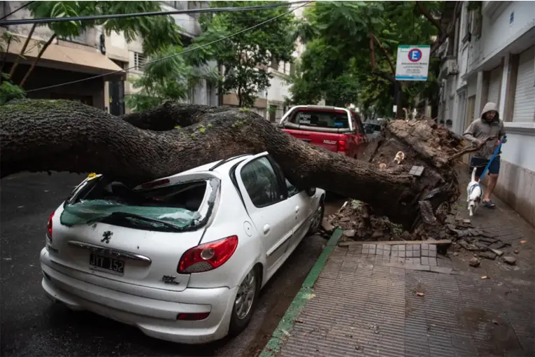 Temporal en Santa Fe: Hubo vientos de hasta 120 k/h, caída de árboles y accidentes