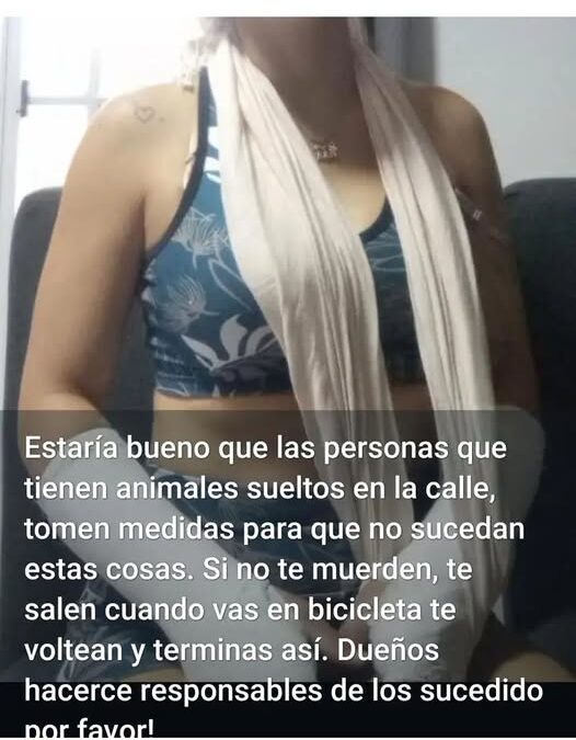 Preocupación en La Criolla: un perro suelto causó graves lesiones a una vecina