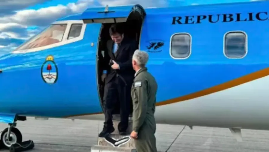 Y MIENTRAS TANTO VOS COMIENDO CARNE DE BURRO…