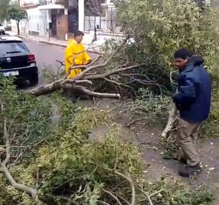 Temporal en Concordia: varias familias afectadas y operativo de asistencia en diversos barrios