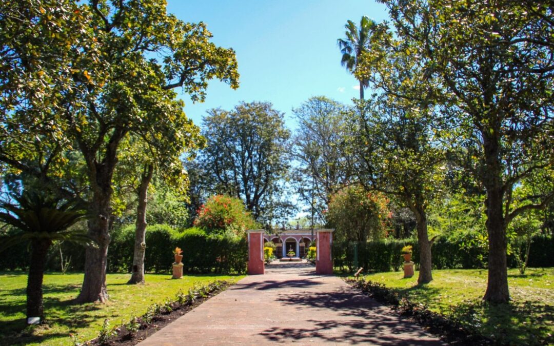 Este jueves se redescubrirá el Palacio San José con una experiencia cultural y participativa