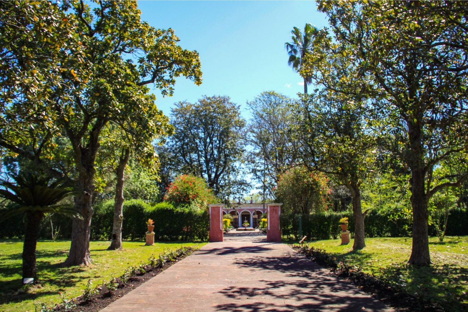 Este jueves se redescubrirá el Palacio San José con una experiencia cultural y participativa