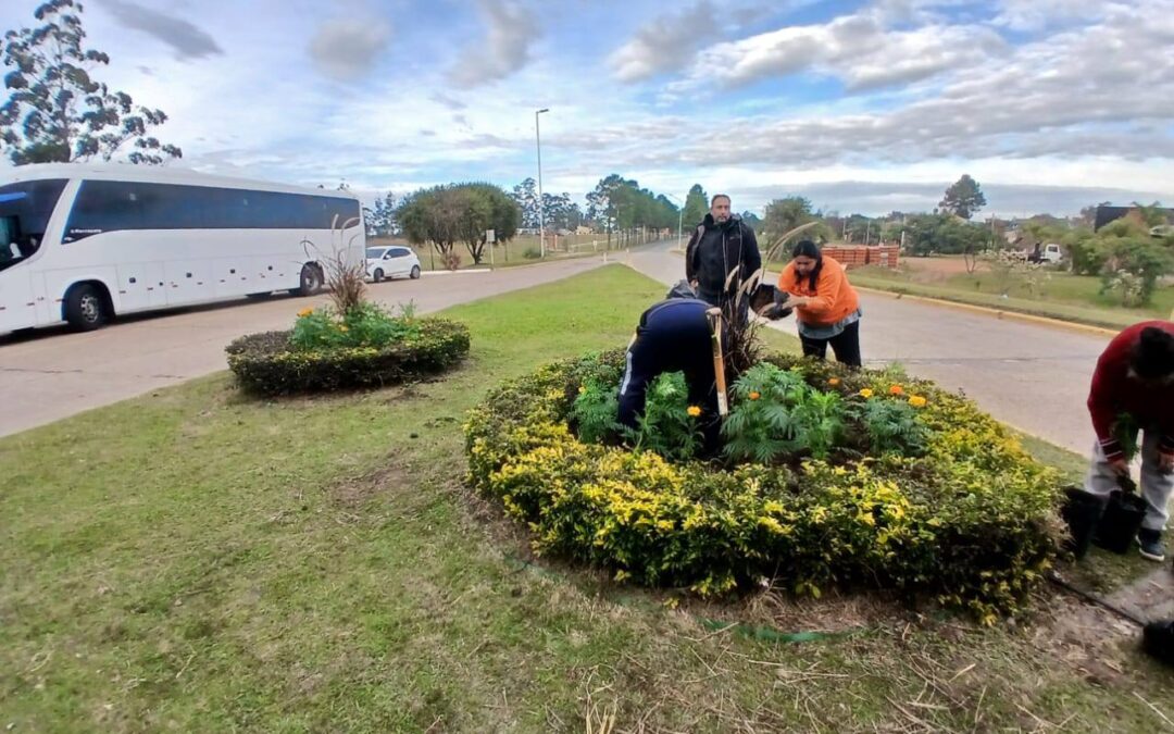 COLOCACIÓN DE PLANTINES EN LA ROTONDA DE ACCESO A FEDERACIÓN