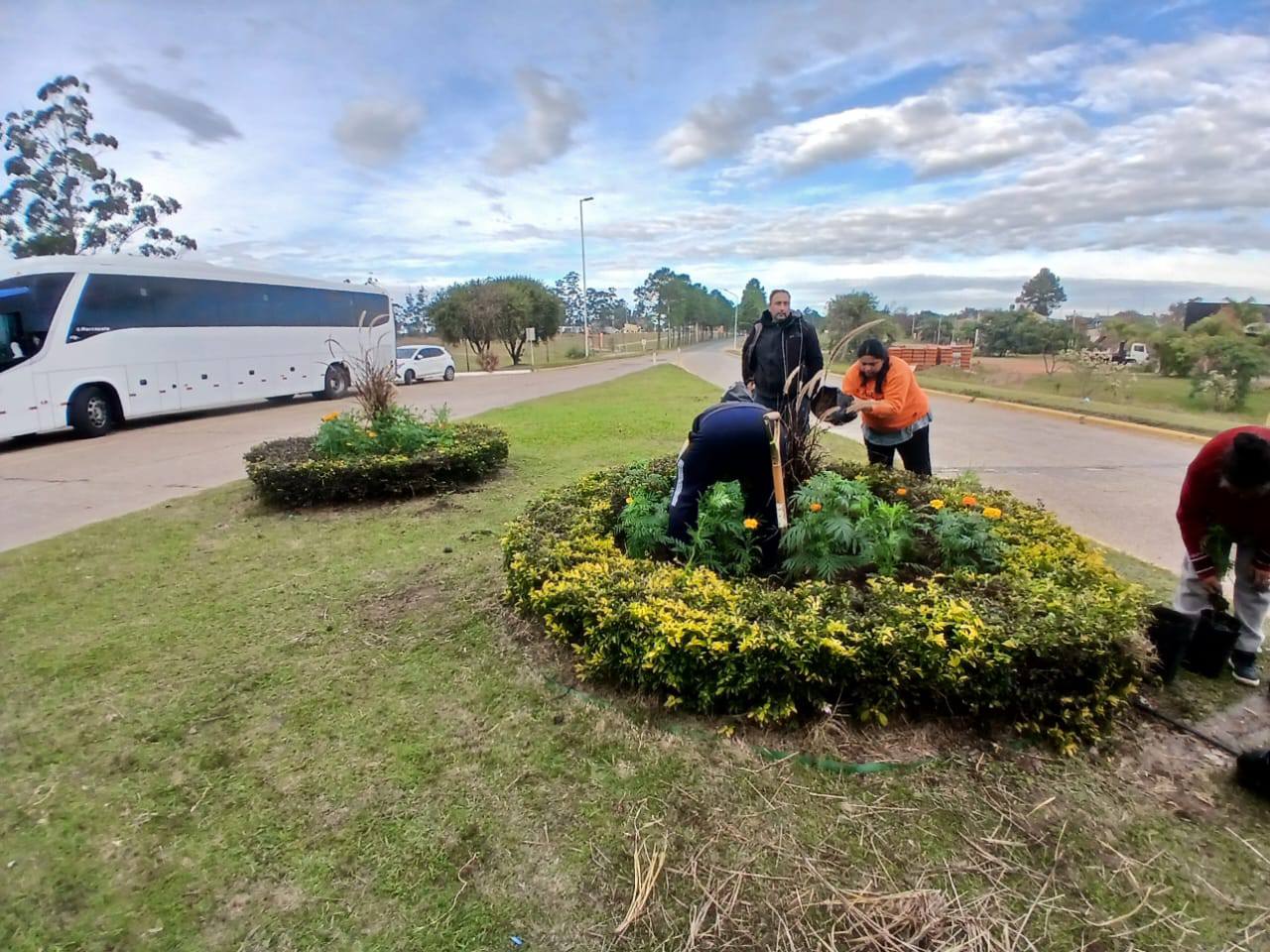 COLOCACIÓN DE PLANTINES EN LA ROTONDA DE ACCESO A FEDERACIÓN