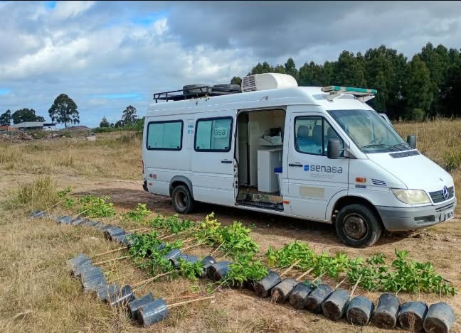 Senasa decomisó 51 plantines de cítricos en Federación para prevenir el HLB