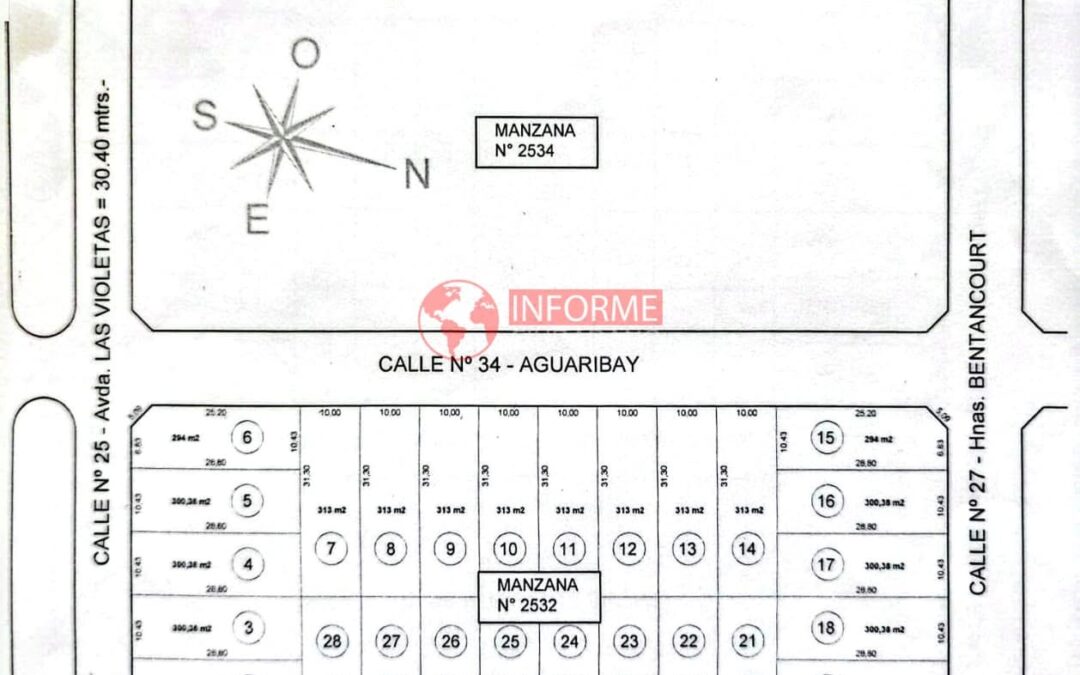 EL EJECUTIVO MUNICIPAL DE FEDERACIÓN APUNTA A LA VENTA DE 56 LOTES EN ZONA DEL CLUB ALMIRANTE BROWN