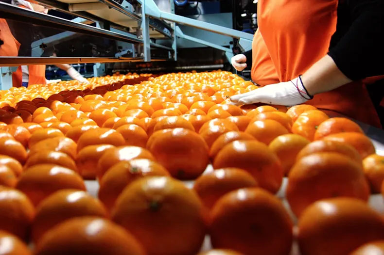 Citricultores hablaron de los altos costos para producir y la baja rentabilidad