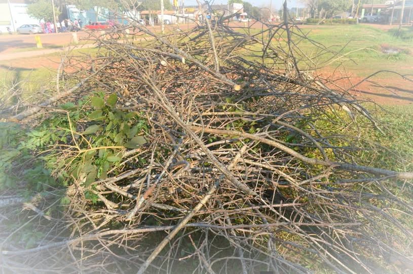 OJO!!! DEJAS RAMAS EN VEREDAS O CALLE PUEDE SER SANCIONADO POR JUZGADO DE FALTAS
