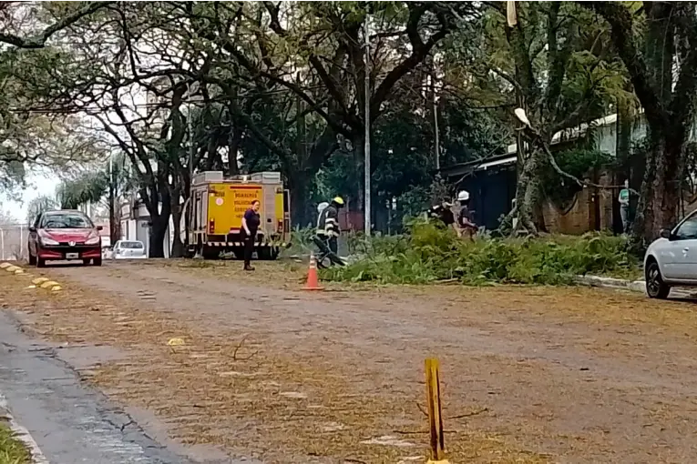 Temporal y destrozos en Concordia: «Nunca habíamos visto algo así», afirmaron desde la Cooperativa Eléctrica