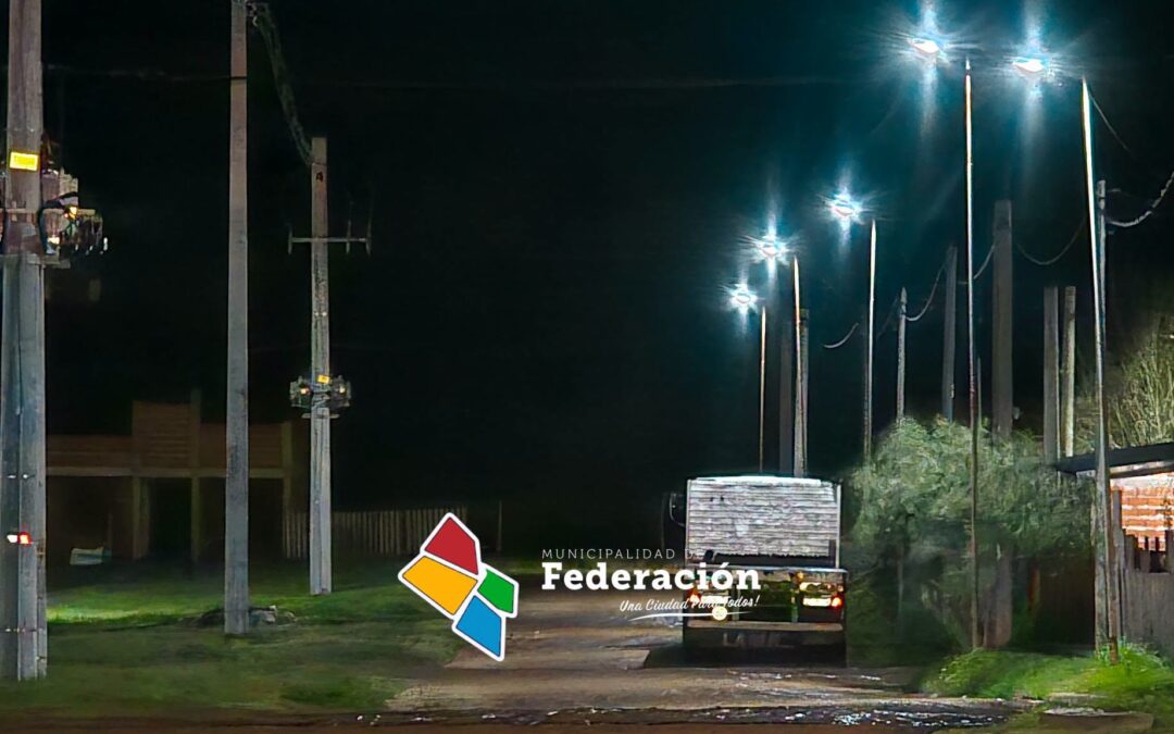 RECAMBIO DE LUMINARIAS EN DISTINTOS SECTORES DE LA CIUDAD DE FEDERACIÓN.
