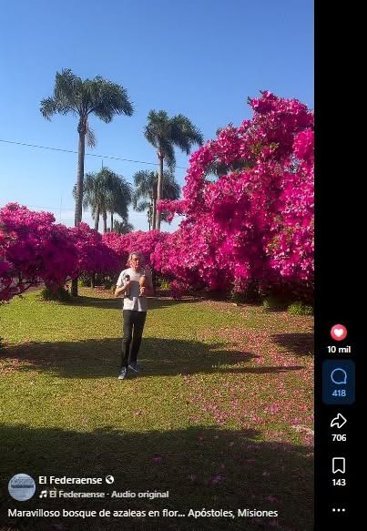 EL FEDERAENSE en Facebook estalló: el video del Bosque de Azaleas superó las 400 mil visualizaciones