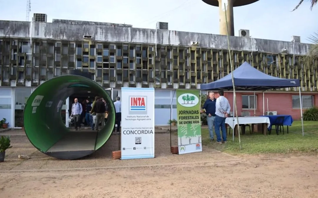 Concordia reunió al sector forestal del país en las 40ª Jornadas Forestales de Entre Ríos