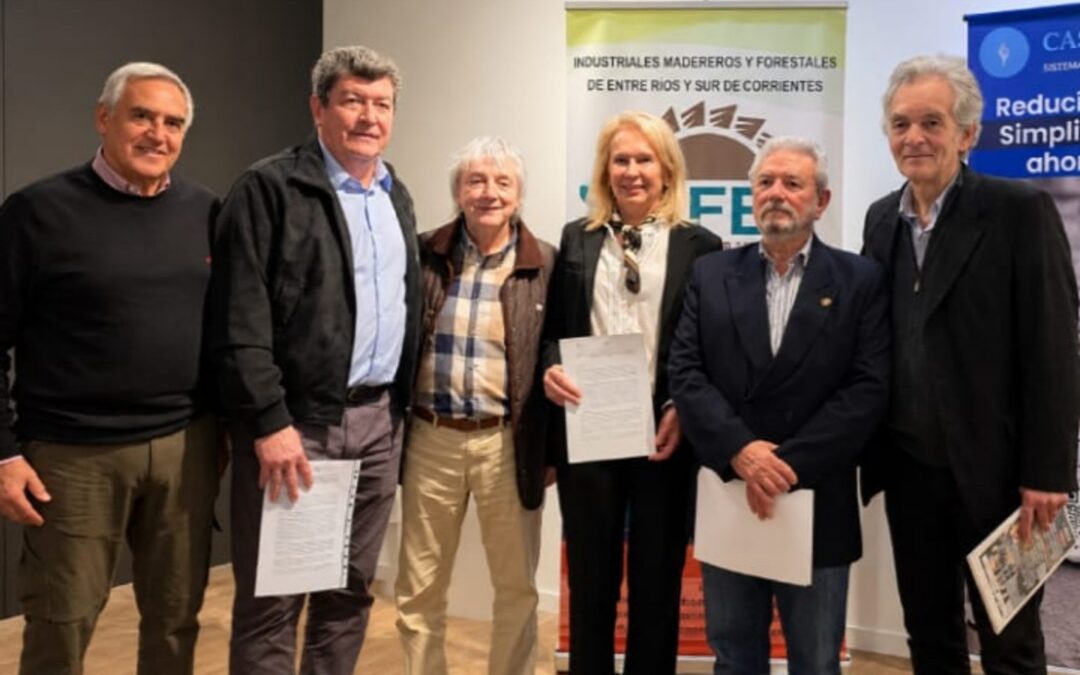 La provincia firmó un convenio para impulsar la construcción de viviendas con madera en Entre Ríos