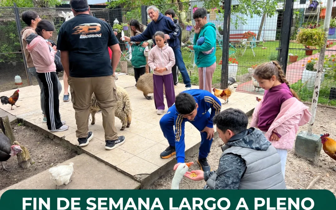 El MAF vivió un gran fin de semana largo: turistas de Argentina, Uruguay y Brasil eligieron el Museo Acuario Federación