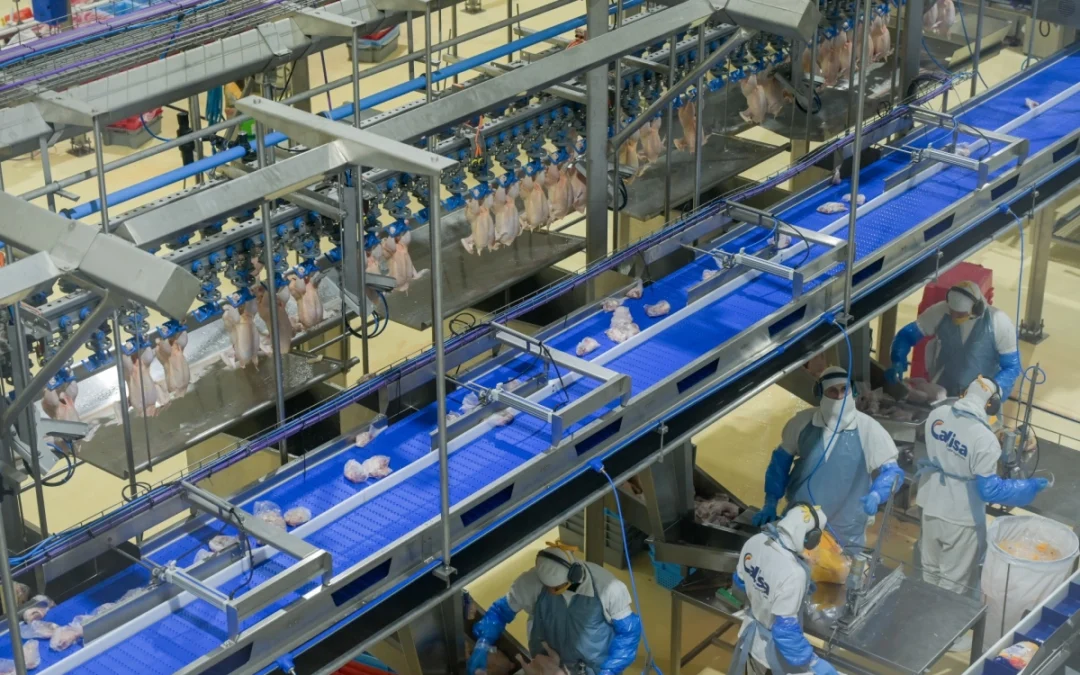 Una avícola entrerriana invirtió 45 millones de dólares para producir más y ampliar sus exportaciones